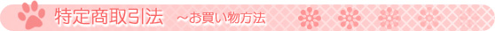 ���菤����@�@�`�����������@